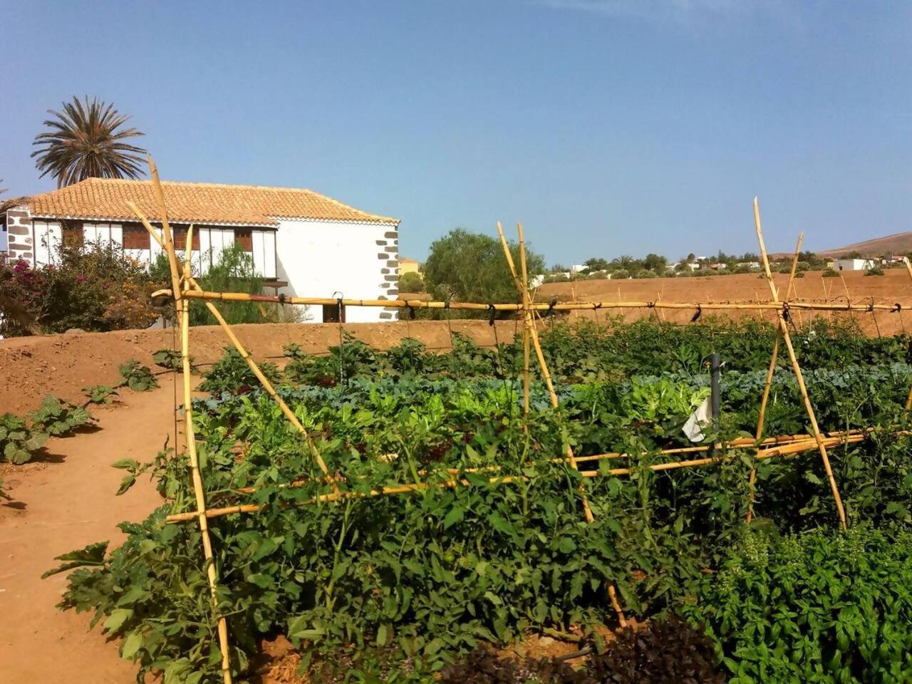 罗萨里奥港Rural Rugama别墅 外观 照片